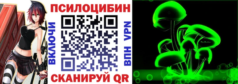 omg зеркало  где найти наркотики  Россошь  Галлюциногенные грибы Psilocybine cubensis 
